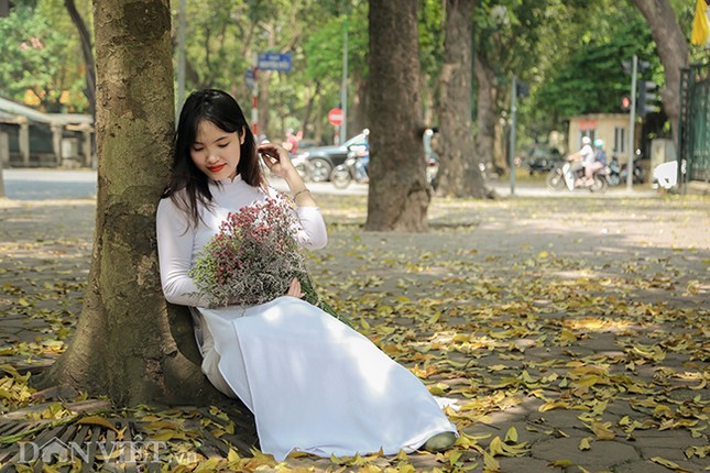 Anh: Ha Noi lang man trong mua la sau rung-Hinh-7