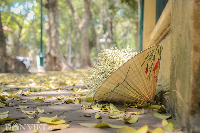 Anh: Ha Noi lang man trong mua la sau rung-Hinh-8