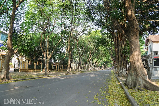 Anh: Ha Noi lang man trong mua la sau rung