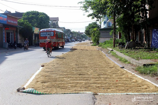 Duong pho, via he thanh san phoi lua tai Vinh-Hinh-2