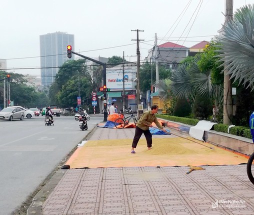 Duong pho, via he thanh san phoi lua tai Vinh-Hinh-3