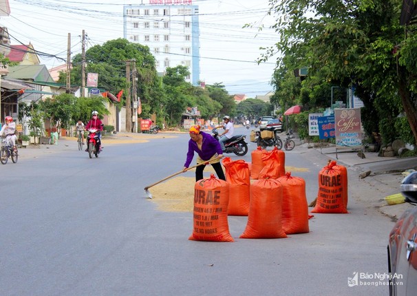 Duong pho, via he thanh san phoi lua tai Vinh-Hinh-4