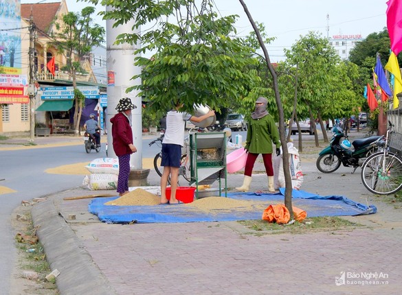 Duong pho, via he thanh san phoi lua tai Vinh-Hinh-5