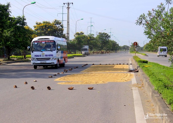 Duong pho, via he thanh san phoi lua tai Vinh-Hinh-7