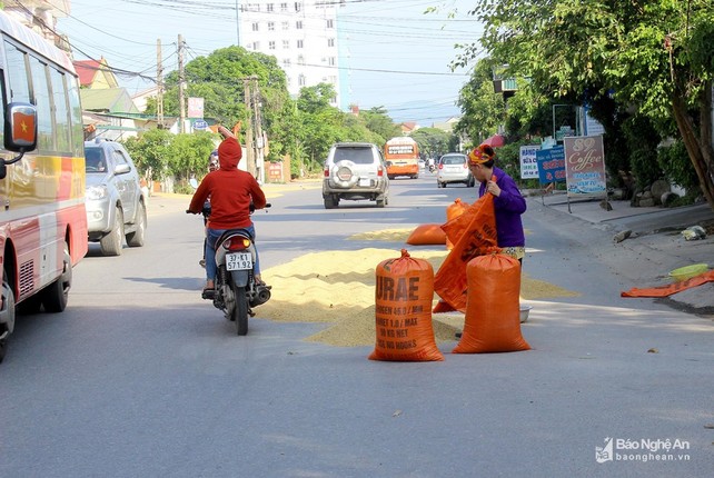 Duong pho, via he thanh san phoi lua tai Vinh-Hinh-8