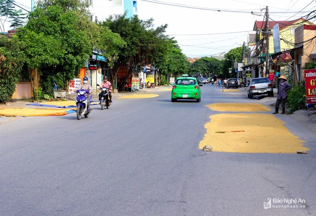 Duong pho, via he thanh san phoi lua tai Vinh