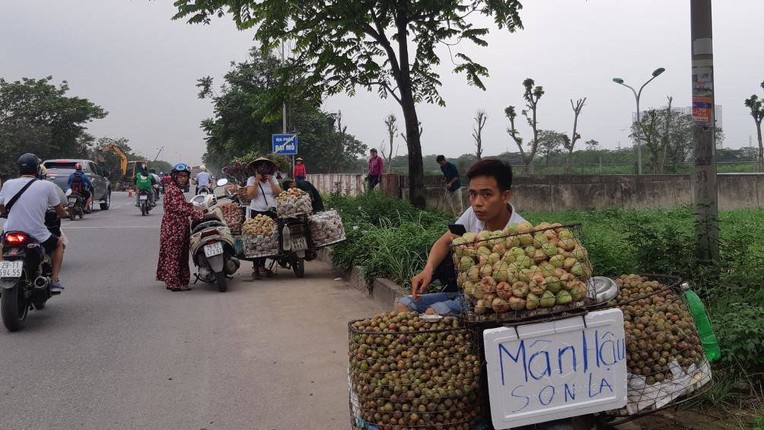 Ngan ngam canh hang rong moc nhu nam tren dai lo Thang Long-Hinh-4