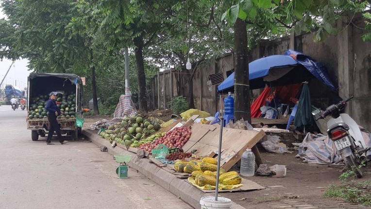 Ngan ngam canh hang rong moc nhu nam tren dai lo Thang Long