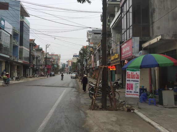 Ky la hang cay xanh trong “duoi long duong” o Uong Bi-Hinh-22