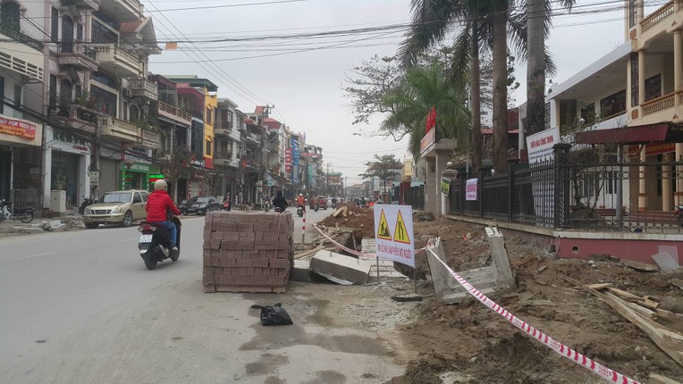 Ky la hang cay xanh trong “duoi long duong” o Uong Bi-Hinh-13