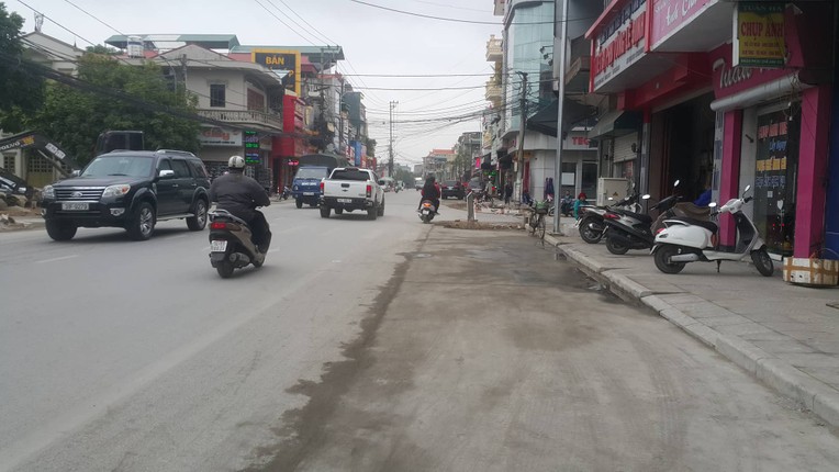 Ky la hang cay xanh trong “duoi long duong” o Uong Bi-Hinh-14