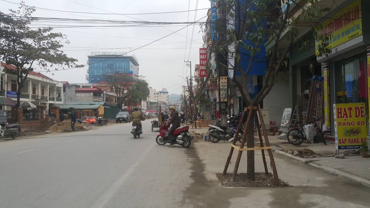 Ky la hang cay xanh trong “duoi long duong” o Uong Bi-Hinh-19