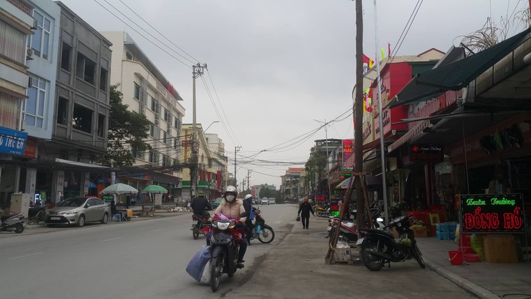 Ky la hang cay xanh trong “duoi long duong” o Uong Bi-Hinh-9