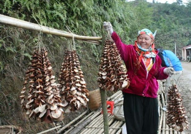 Mon an vung cao tro thanh dac san la mieng tren mam co ngay Tet-Hinh-6