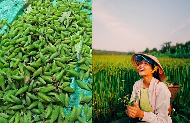 H'Hen Nie khoe mon khoai khau nhong sau muong khien nhieu nguoi phat khiep