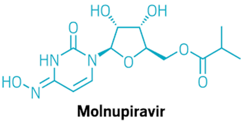 COVID-19: Molnupiravir co phai la lieu thuoc hy vong cho F0 dieu tri tai nha?-Hinh-2