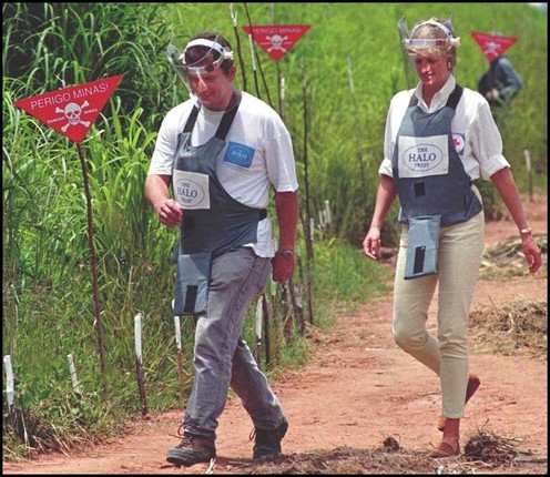 Cuc kho tin: Cong nuong Diana tung di mot minh qua bai min-Hinh-6