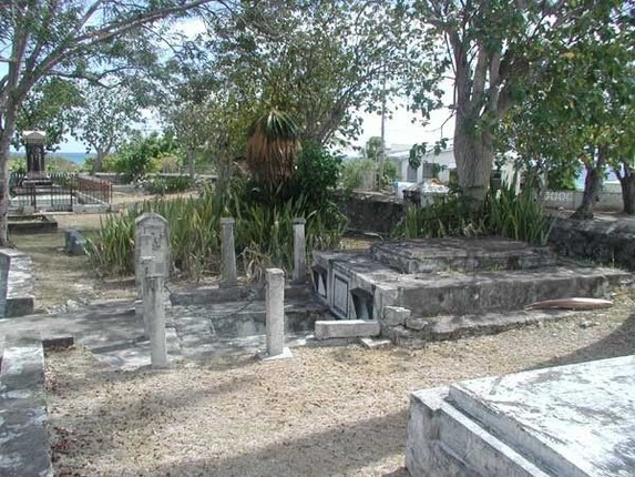 Vi sao nhung co quan tai o dao Barbados co kha nang dich chuyen?-Hinh-10