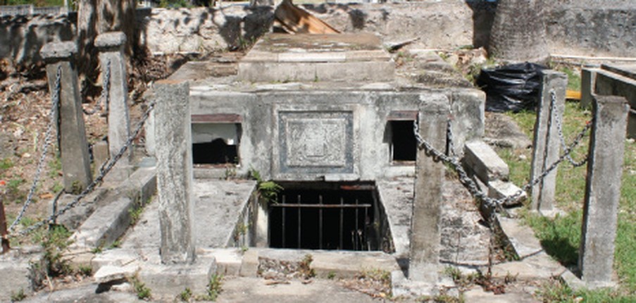 Vi sao nhung co quan tai o dao Barbados co kha nang dich chuyen?-Hinh-5