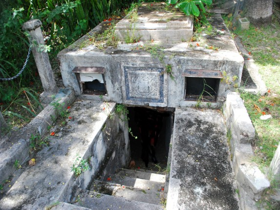 Vi sao nhung co quan tai o dao Barbados co kha nang dich chuyen?