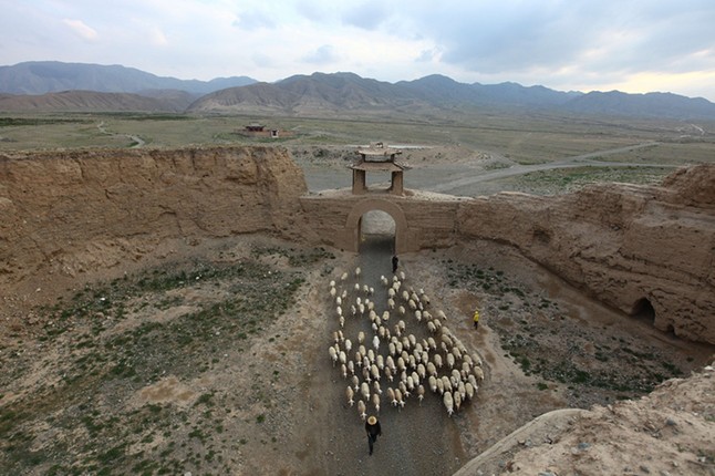 Nhung bi mat phao dai co tren sa mac Gobi-Hinh-7