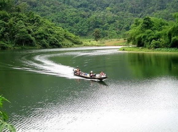 Kham pha 'kho vang xanh' vo gia o Vuon Quoc gia Pu Mat-Hinh-13