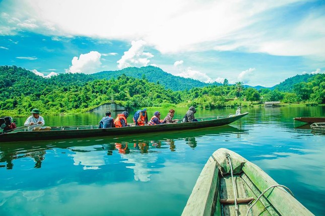 Kham pha 'kho vang xanh' vo gia o Vuon Quoc gia Pu Mat-Hinh-4