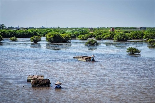 Bau vat troi ban o Vuon quoc gia nho nhat Viet Nam-Hinh-11