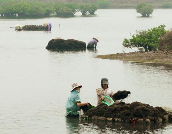 Bau vat troi ban o Vuon quoc gia nho nhat Viet Nam-Hinh-14