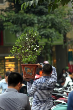 Nguoi nguoi chen chuc o cho phien doc dao tai Ha Noi-Hinh-7