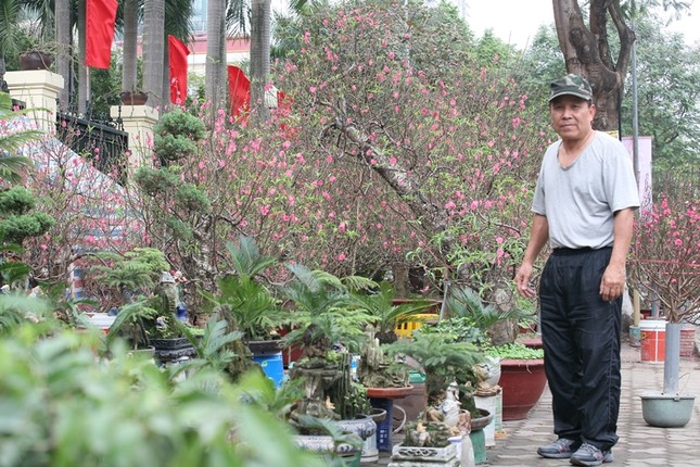 Van tue bonsai gia ca chuc trieu dong/chau-Hinh-8