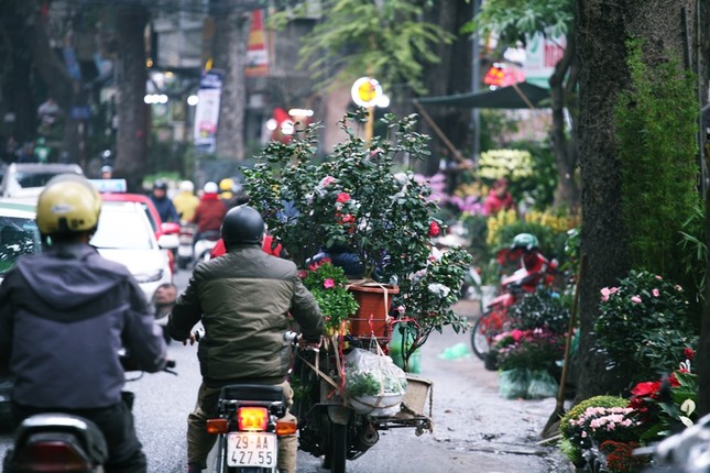 Dao quanh pho hoa Hoang Hoa Tham ngay can Tet-Hinh-16