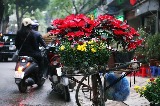 Dao quanh pho hoa Hoang Hoa Tham ngay can Tet-Hinh-8