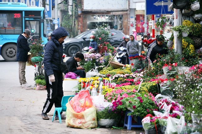 Dao quanh pho hoa Hoang Hoa Tham ngay can Tet