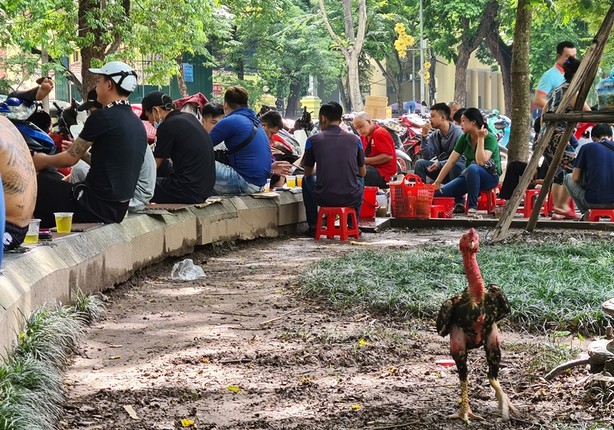 Ha Noi: Nhieu nguoi khong deo khau trang, tu tap ban tra da-Hinh-5