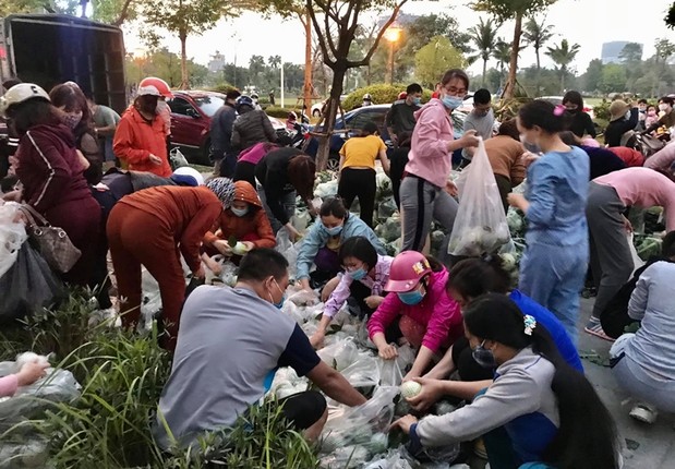 Nguoi Ha Noi xuyen dem 'giai cuu' nong san cua ba con Hai Duong-Hinh-11