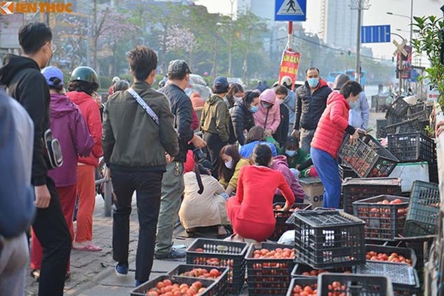 Nguoi Ha Noi xuyen dem 'giai cuu' nong san cua ba con Hai Duong-Hinh-12