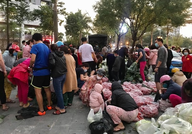 Nguoi Ha Noi xuyen dem 'giai cuu' nong san cua ba con Hai Duong-Hinh-9