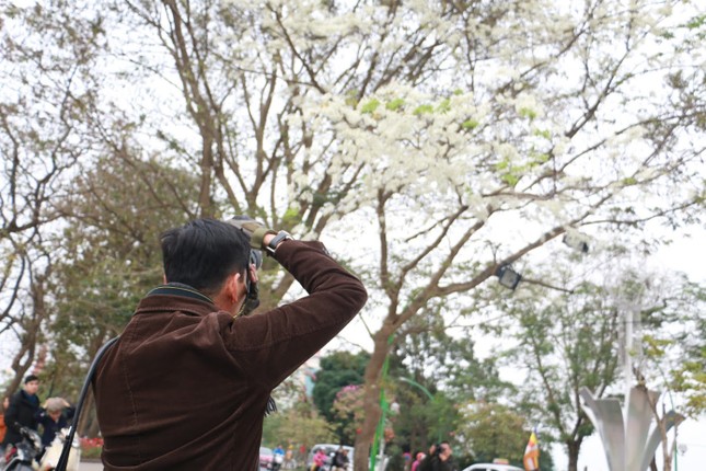 Ha Noi dep mong mo khi hoa sua no trang troi-Hinh-10