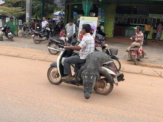 Khong dau nhu Viet Nam, dan 