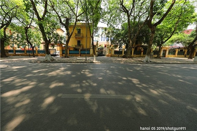 Nhin lai hinh anh Ha Noi vang ve nhu Tet trong dot nong dinh diem-Hinh-8