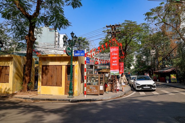 Ha Noi: Net xua tai Dao Ngoc - Ngu Xa niu chan khach du xuan-Hinh-10