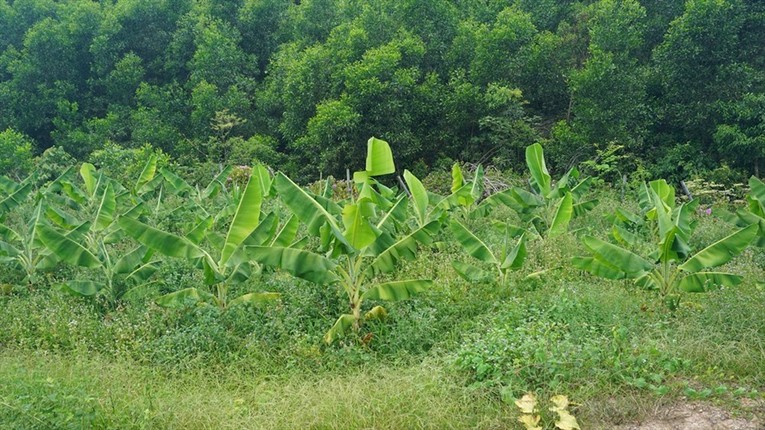 Nhung sep ngan hang nao “nga ngua” trong nam 2018?-Hinh-9