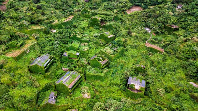 Nha phu kin cay xanh dep me man trong ngoi lang bo hoang-Hinh-4