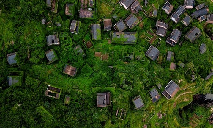 Nha phu kin cay xanh dep me man trong ngoi lang bo hoang