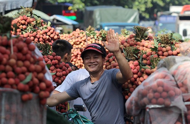 Nho vai thieu Luc Ngan, bac nong dan nay mot phut len tien thanh ty phu