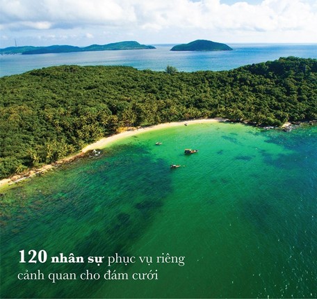 Dam cuoi Dong Nhi - Ong Cao Thang va nhung con so choang vang-Hinh-3