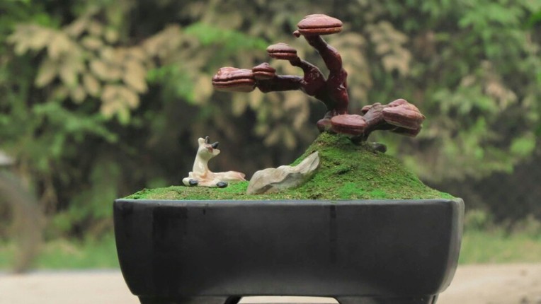 Chan cay canh, dai gia san nam linh chi bonsai choi Tet