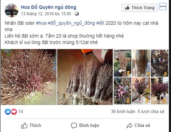 Hoa do quyen ngu dong ban tran lan tren mang