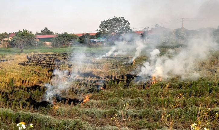 Rom kho, vo trau duoc rao ban ram ro tren mang de lam gi?-Hinh-9